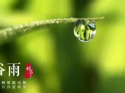 大五班  红枣山药芡实粥