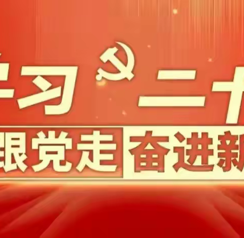 【学习二十大，争做好队员】请党放心 强国有我