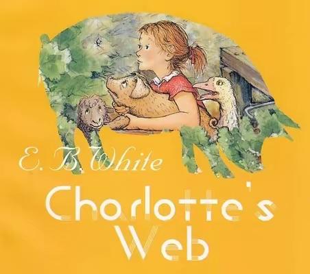 友谊如同冬日阳光