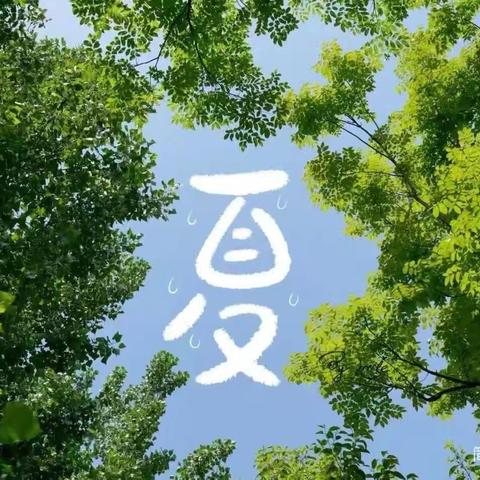 【课程故事】《你好，夏天》——小三班主题活动