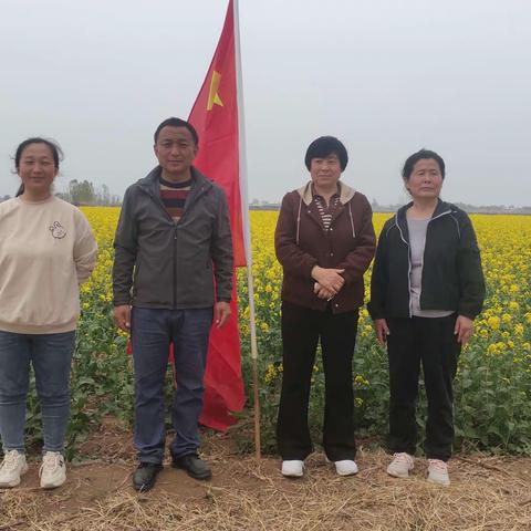 春光明媚，东里岳小学生踏春纪实。