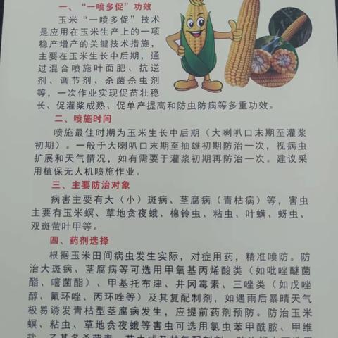 开展“一喷多促”  确保秋粮丰收