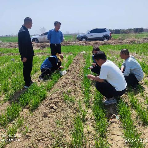 群众识病犯了难 技术解惑到田间