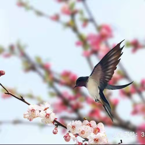 学无止境，蓄力前行--记永兴县2023年中学实验人员安全技能和操作规范及网络安全业务培训活动