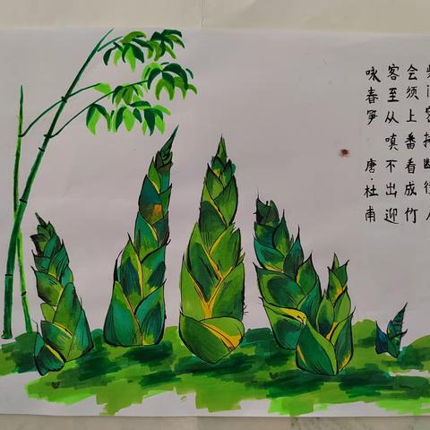 雨后春笋，向阳生长