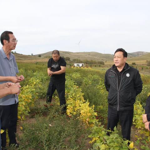 区市两级科协领导调研清水河县科技小院建设情况