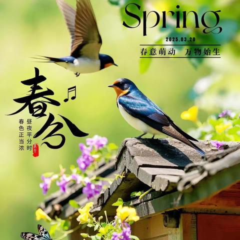 春分：平分昼夜，邂逅生命蓬勃的美好