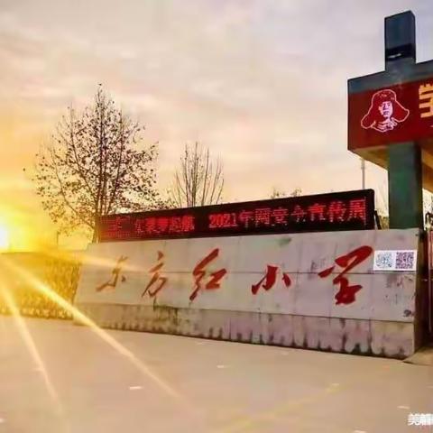 绽放实践之花，遇见成长之美----东方红小学三年级学生实践基地纪实