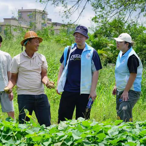 科技赋能农业 科普点亮童心 下架山镇携手华南师范大学 稻香云链实践团走进和寮村
