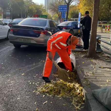 寒潮来袭叶满地 槐荫城管全力做好落叶清扫工作