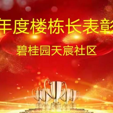 2023年度楼栋长表彰大会