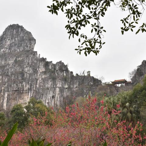 桂林市南溪山公园花朝节热闹非凡