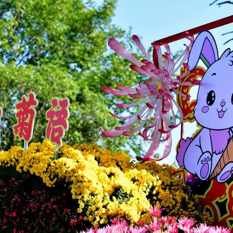 电影《秋翁遇仙记》里遇到的是菊花仙子。能遇到这么多的仙女，多幸福啊！