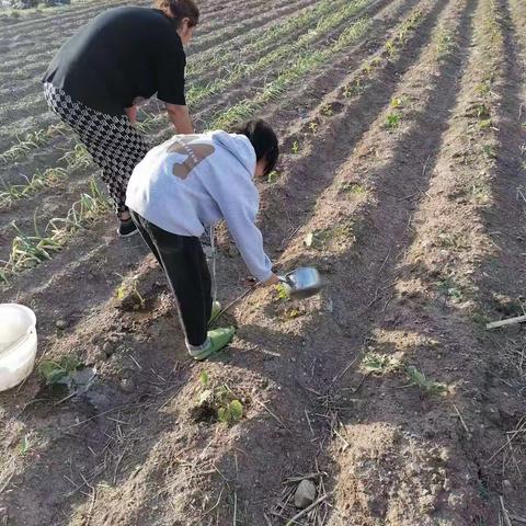 全力做好环境卫生整治工作——图牧吉中心学校