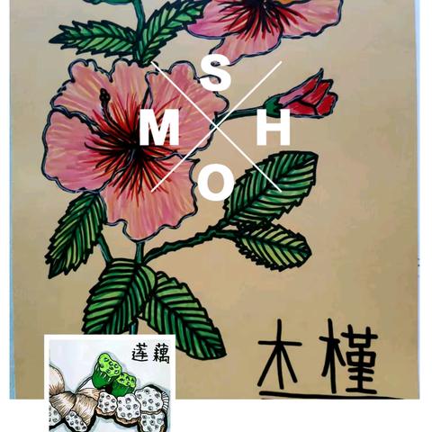 假期作业促实效，优秀作业亮风采！ 文泰华光彩小学暑假第二次作业大检查