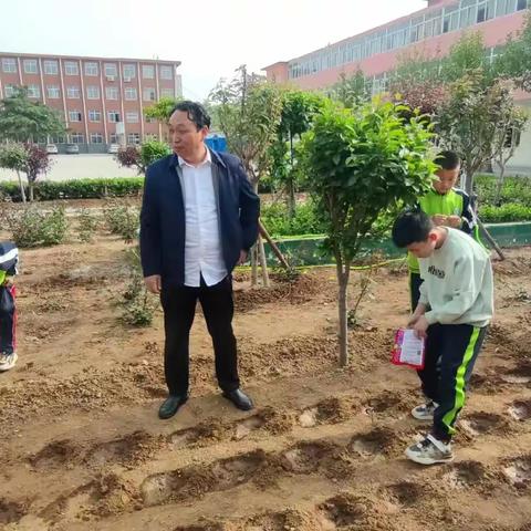 青青园中，收货颇丰