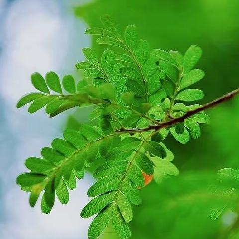 家访有爱，倾听花开----烟霞学校