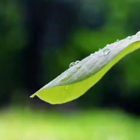 《春雨🌧️》