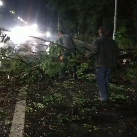 壶关公路段：夜伴风雨树拦路 即刻除患保通畅