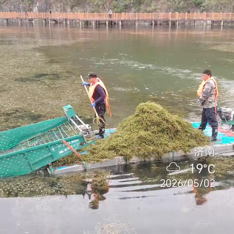 南山区｜河道管护不停歇 垃圾清理不放松 守护碧水长流