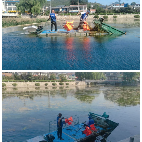双节守护不打烊 水清岸绿迎佳节｜南部山区河长制在行动