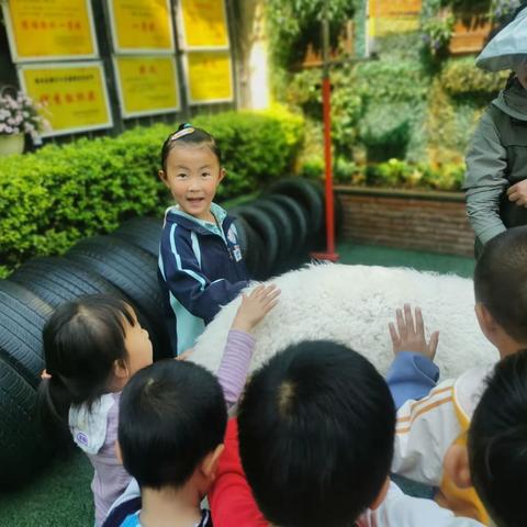 “爱护野生动物， 共建生态家园”盘龙区新迎第三幼儿园“动物进园”科普活动