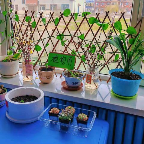 “小小种植家 快乐伴成长”——龙凤区机关幼儿园厂前分园植物角种植活动