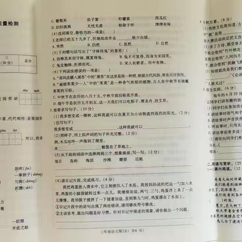 2023-2024期末三至六年级语文、数学、英语试卷