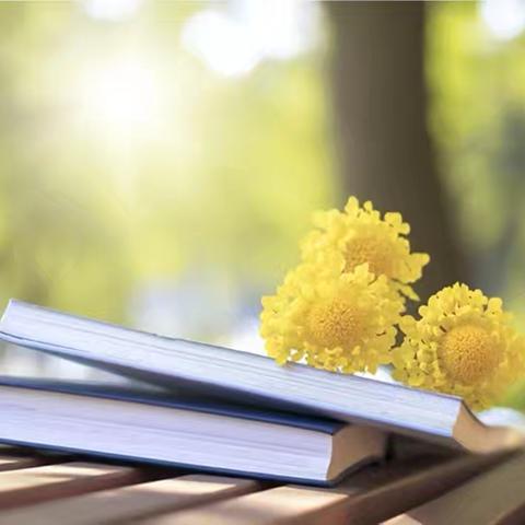 教研新视界     共筑教育梦 —2024学年隆阳区丙麻中学教研活动纪实