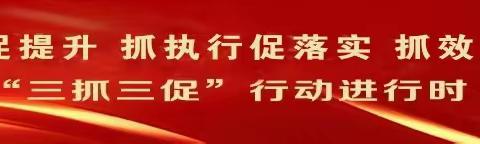 【卫健系统“三抓三促”行动进行时】 郑河乡卫生院参加2023年基本公共卫生服务项目培训班