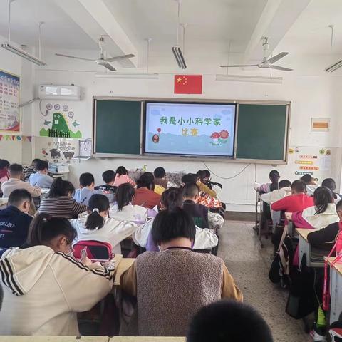 乘科学之风，展文字之美——记驿城实验小学“我是小小科学家”的书写比赛活动