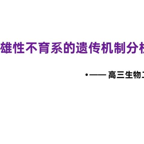 构建有效问题链，激发学生深度参与——记2025–2026学年度第二学期“名师领航”展示课