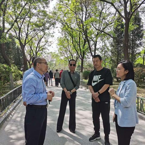 市文旅局调研天桥景区和民宿建设