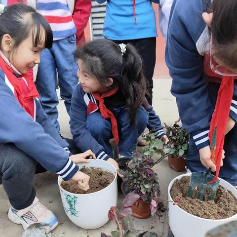 春意盎然勤播种，静待花开幸福田