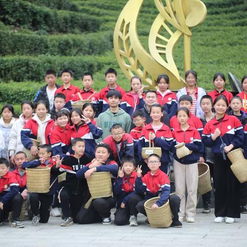茶园里的劳动课——洞口县古楼乡九年一贯制学校开展学生“抢抓农时，助农采茶”实践活动