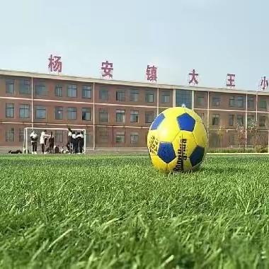 足球点燃激情   绿茵绽放梦想——2023年乐陵市中小学足球比赛杨安镇大王小学足球队精彩瞬间