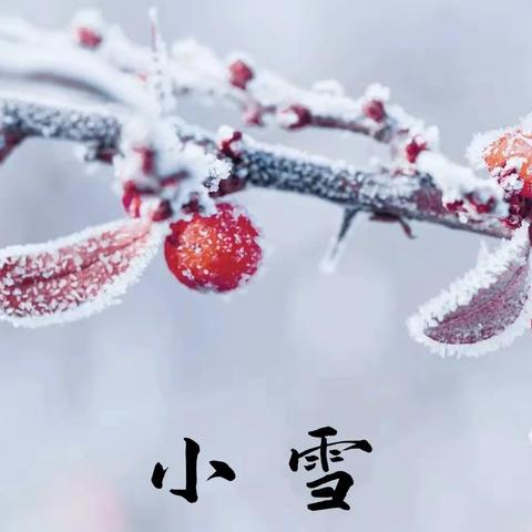 “幼”见小雪，温暖迎冬