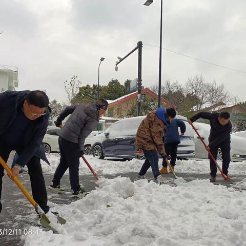 除雪破冰保路畅，人大代表在行动！