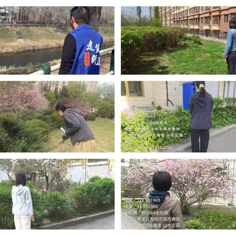 抓实日常踏查护平安 做实禁毒宣传入民心 ——建筑街道开展禁种铲毒及禁毒宣传常态化工作