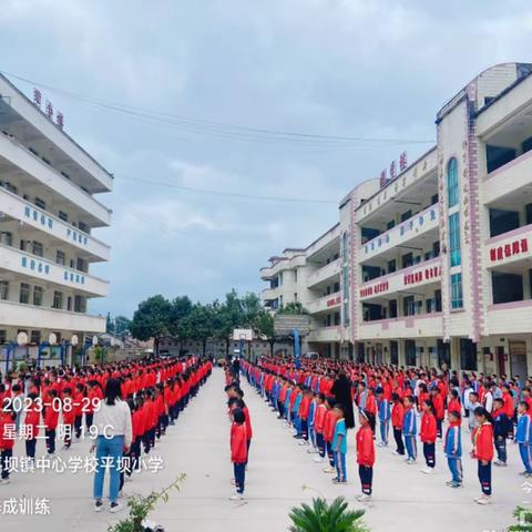 养成教育润初心，行为习惯助成长——记文山市平坝镇中心学校平坝小学开展行为习惯养成教育活动
