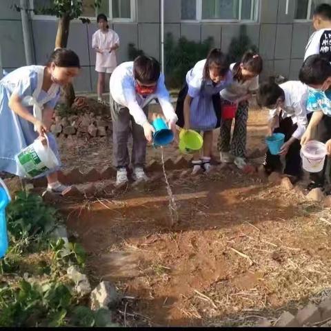 劳动实践润心田，家校共育护成长——舞钢市第七小学三(九)班开展亲子劳动教育实践活动