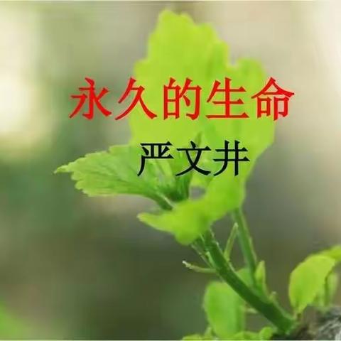 品味经典的魅力，赞叹生命的永久——刘楼一中语文组教研活动掠影（七）