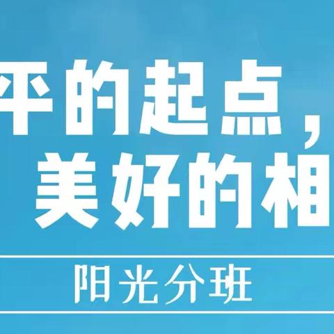 阳光追梦 幸福启航    —前辛庄联合小学开展2024级新生阳光分班及班主任岗前培训活动