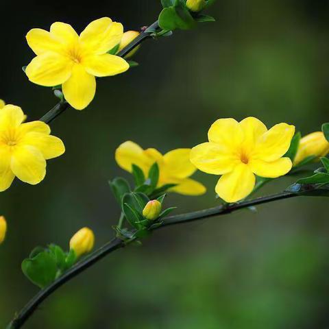 “传承经典，书写精彩”白团镇樊庄小学书写等级考核活动