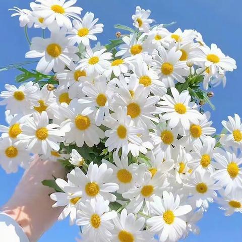 白团镇樊庄小学“智慧父母大讲堂，亲子同上一节课”活动