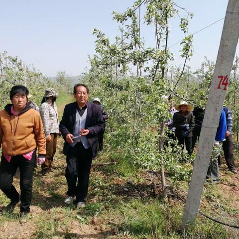 宝鸡市千阳县老科协特聘宣传员李宝智科技服务再加力