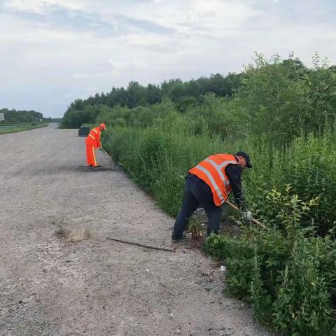 战高温抗酷暑 提升路域环境