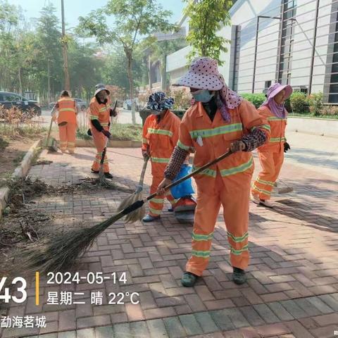 节前卫生大整治  扮靓环境迎茶王  干干净净迎茶王  专项整治活动