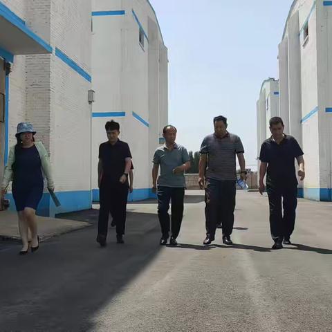 全国棉花交易市场济南办事处一行到盈恒棉业磁县分公司考察调研