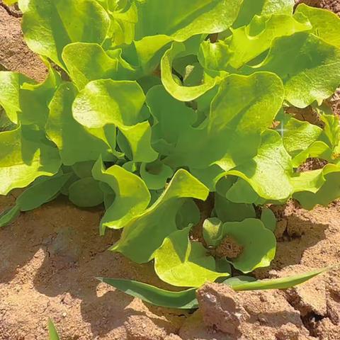 一起“哈哈哈”吧！